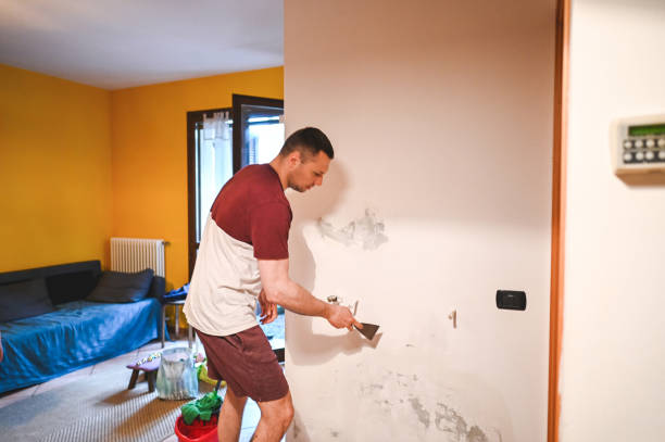 Best Black Mold Removal  in Shrub Oak, NY
